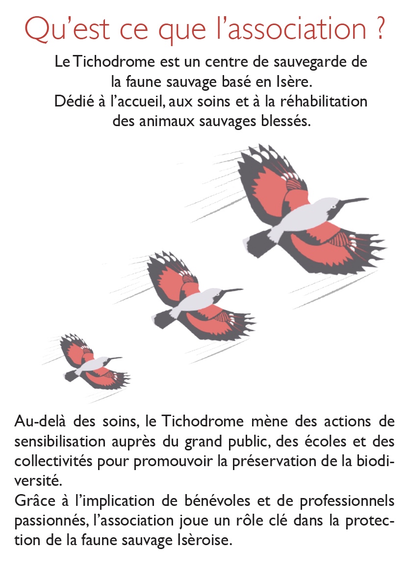 Dossier de presse
